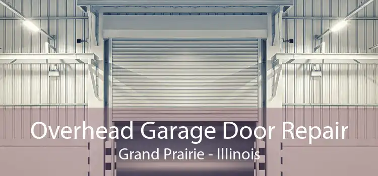 Overhead Garage Door Repair Grand Prairie - Illinois