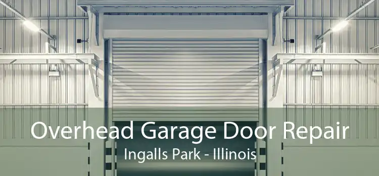 Overhead Garage Door Repair Ingalls Park - Illinois