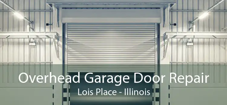 Overhead Garage Door Repair Lois Place - Illinois