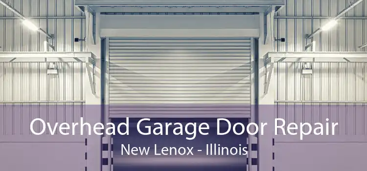 Overhead Garage Door Repair New Lenox - Illinois