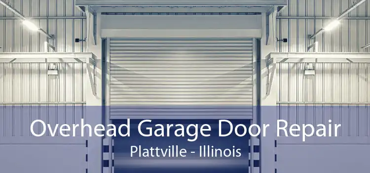 Overhead Garage Door Repair Plattville - Illinois