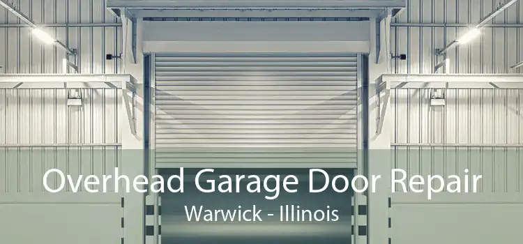 Overhead Garage Door Repair Warwick - Illinois