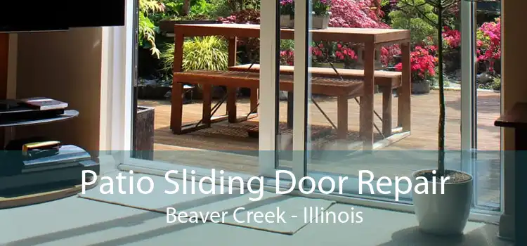 Patio Sliding Door Repair Beaver Creek - Illinois