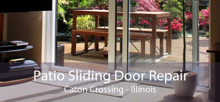 Patio Sliding Door Repair Caton Crossing - Illinois