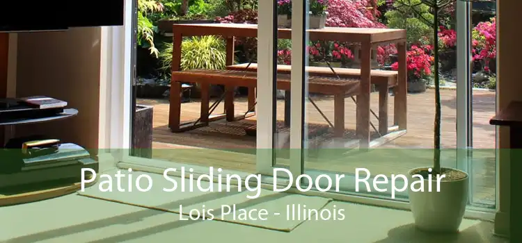 Patio Sliding Door Repair Lois Place - Illinois