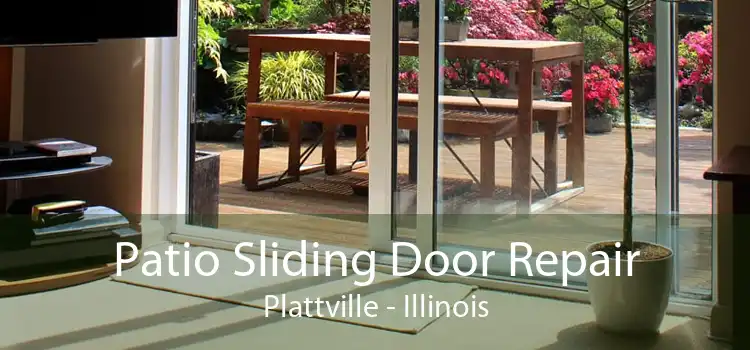 Patio Sliding Door Repair Plattville - Illinois