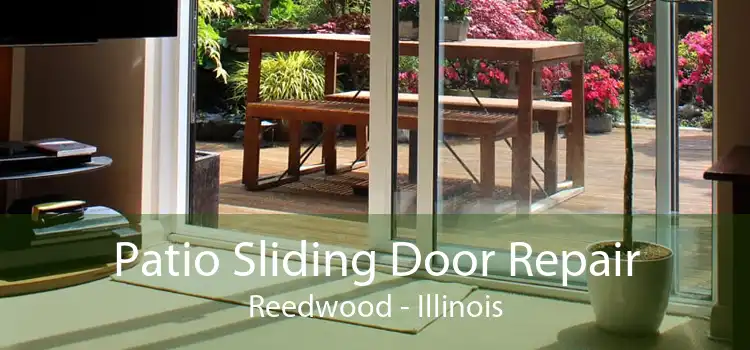 Patio Sliding Door Repair Reedwood - Illinois