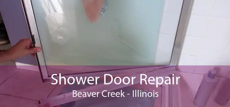 Shower Door Repair Beaver Creek - Illinois