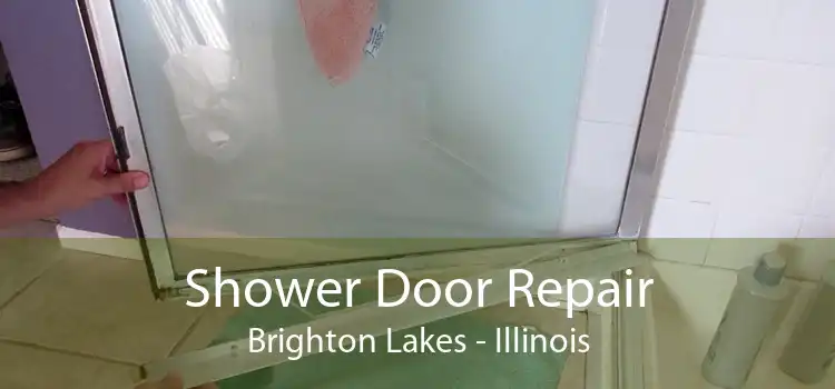 Shower Door Repair Brighton Lakes - Illinois