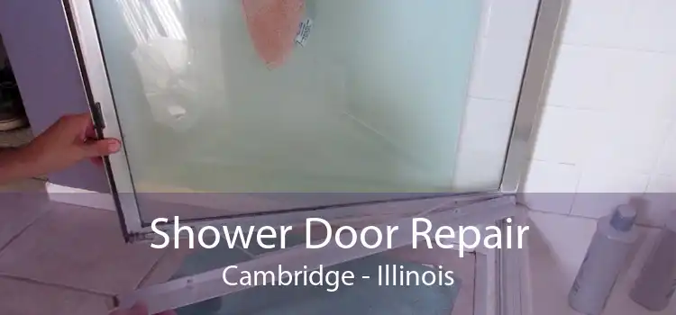 Shower Door Repair Cambridge - Illinois