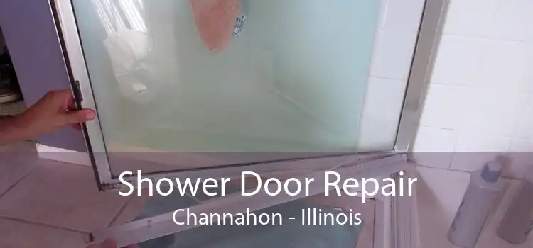 Shower Door Repair Channahon - Illinois