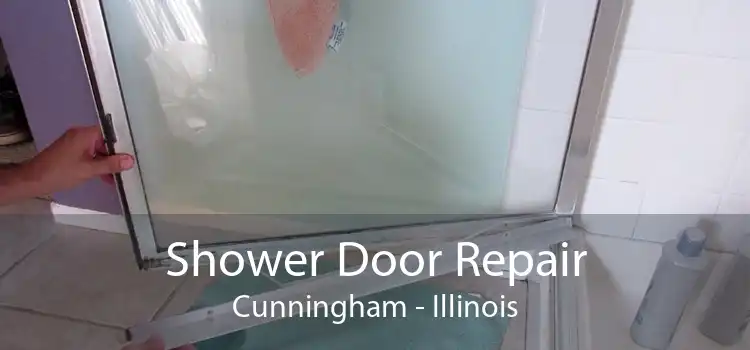 Shower Door Repair Cunningham - Illinois