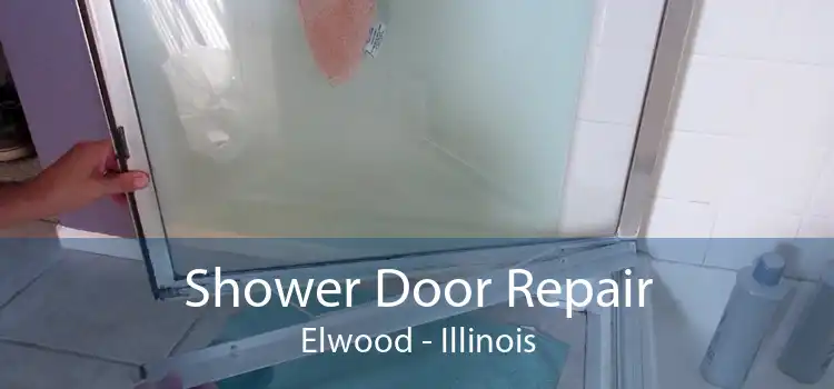 Shower Door Repair Elwood - Illinois