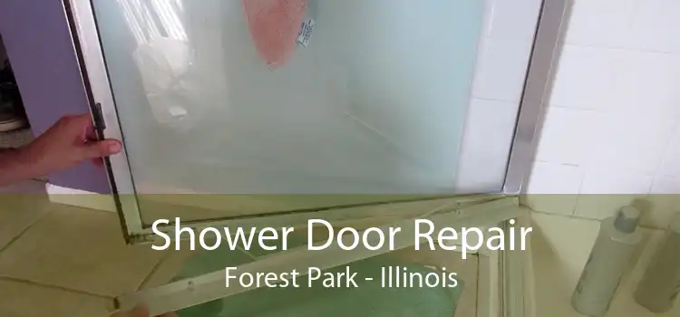 Shower Door Repair Forest Park - Illinois