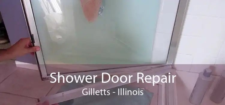 Shower Door Repair Gilletts - Illinois