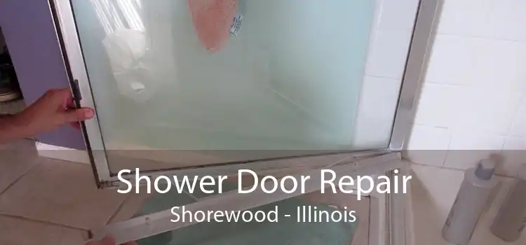 Shower Door Repair Shorewood - Illinois