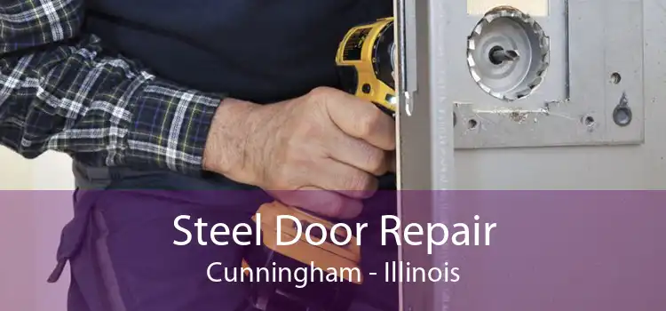 Steel Door Repair Cunningham - Illinois