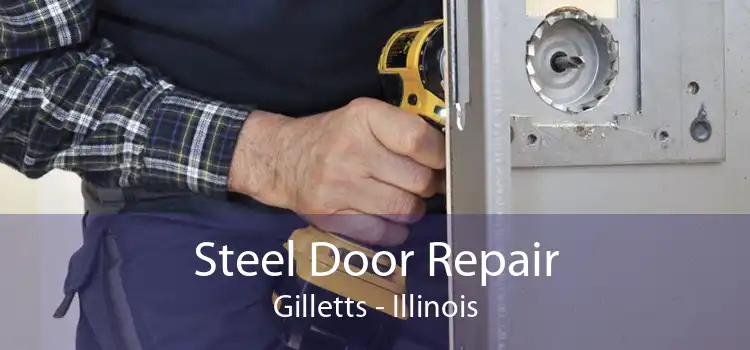 Steel Door Repair Gilletts - Illinois