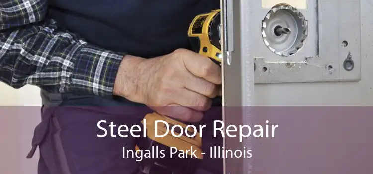 Steel Door Repair Ingalls Park - Illinois