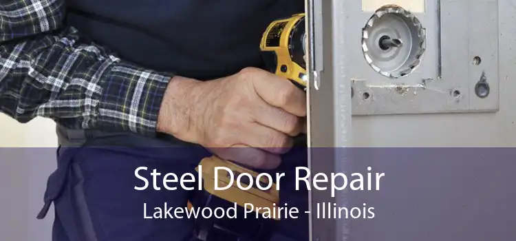 Steel Door Repair Lakewood Prairie - Illinois