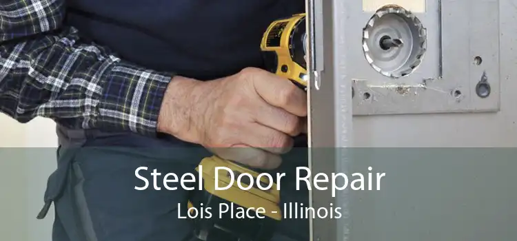 Steel Door Repair Lois Place - Illinois