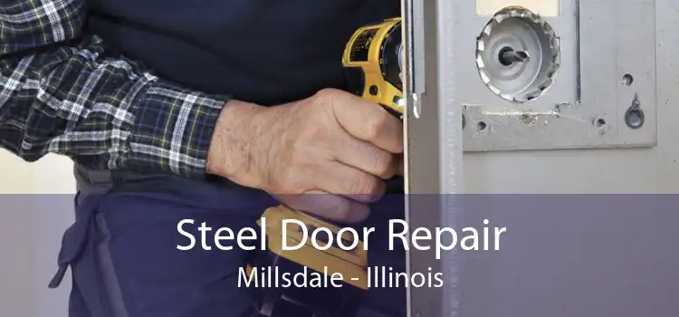 Steel Door Repair Millsdale - Illinois