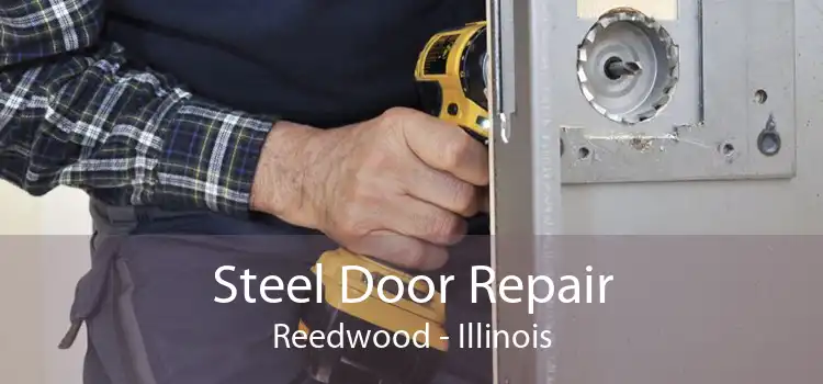 Steel Door Repair Reedwood - Illinois