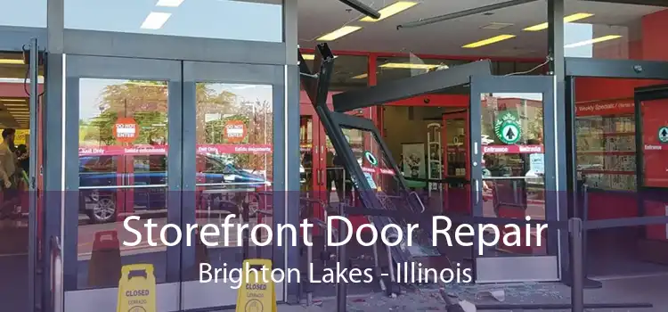 Storefront Door Repair Brighton Lakes - Illinois