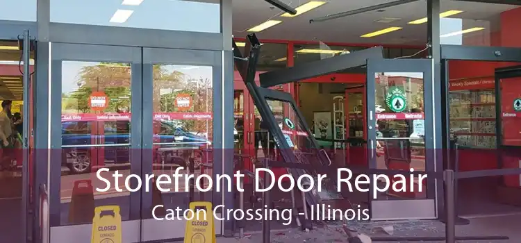 Storefront Door Repair Caton Crossing - Illinois