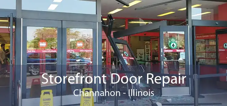 Storefront Door Repair Channahon - Illinois