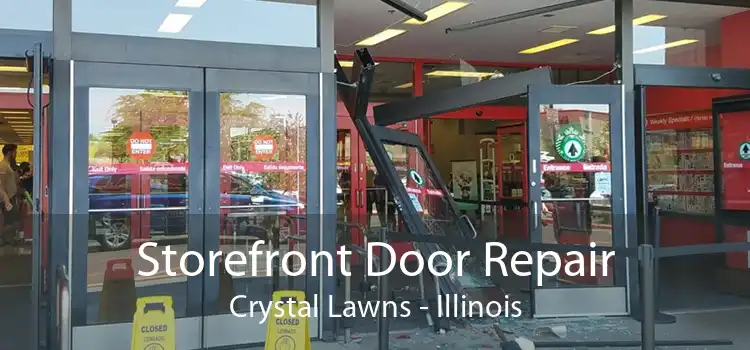 Storefront Door Repair Crystal Lawns - Illinois