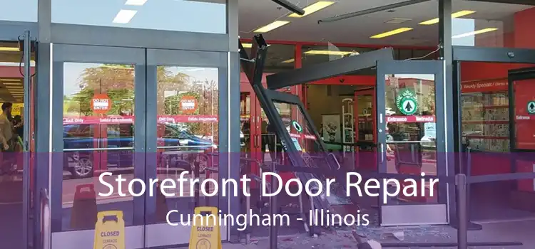 Storefront Door Repair Cunningham - Illinois