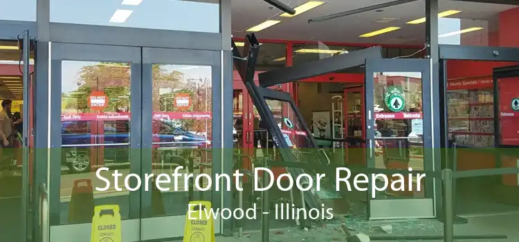 Storefront Door Repair Elwood - Illinois