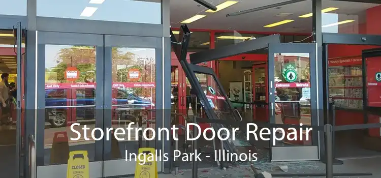 Storefront Door Repair Ingalls Park - Illinois