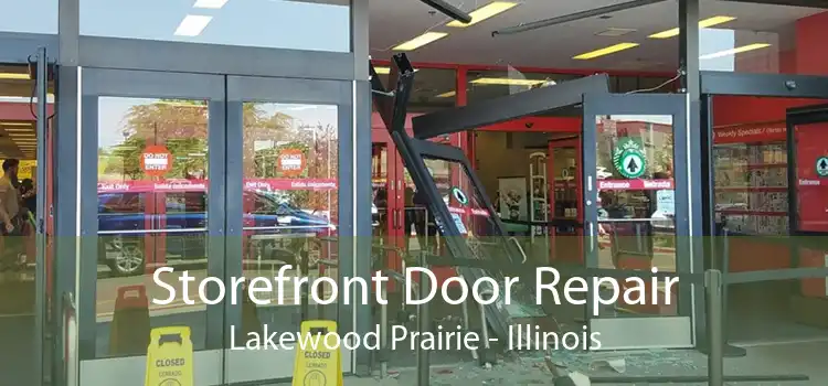 Storefront Door Repair Lakewood Prairie - Illinois