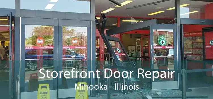 Storefront Door Repair Minooka - Illinois