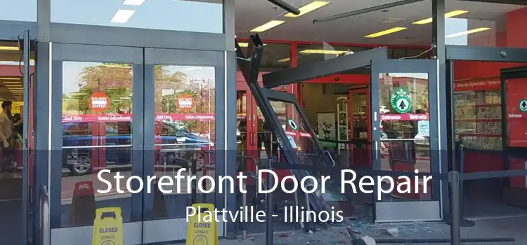 Storefront Door Repair Plattville - Illinois