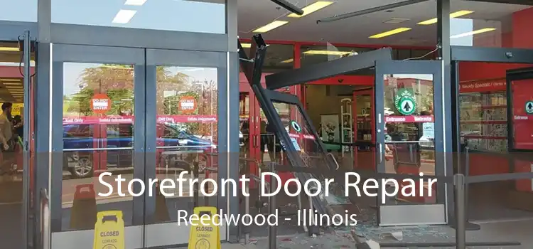 Storefront Door Repair Reedwood - Illinois