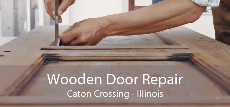 Wooden Door Repair Caton Crossing - Illinois