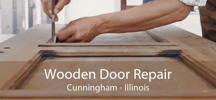 Wooden Door Repair Cunningham - Illinois