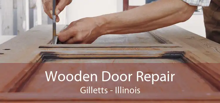 Wooden Door Repair Gilletts - Illinois